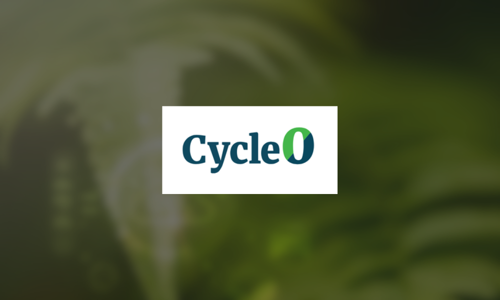 Cycle 0